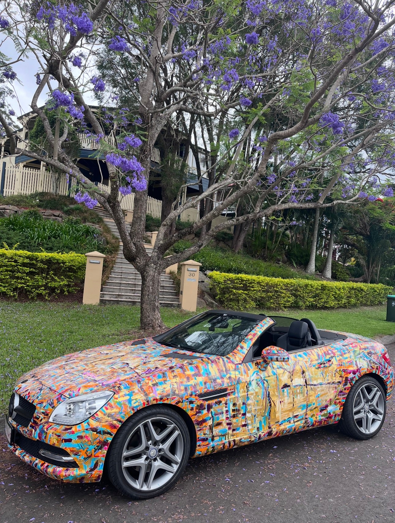 Art Car by Jay Jackal, hand painted convertible car parked on a street with a Jacaranda tree in the background