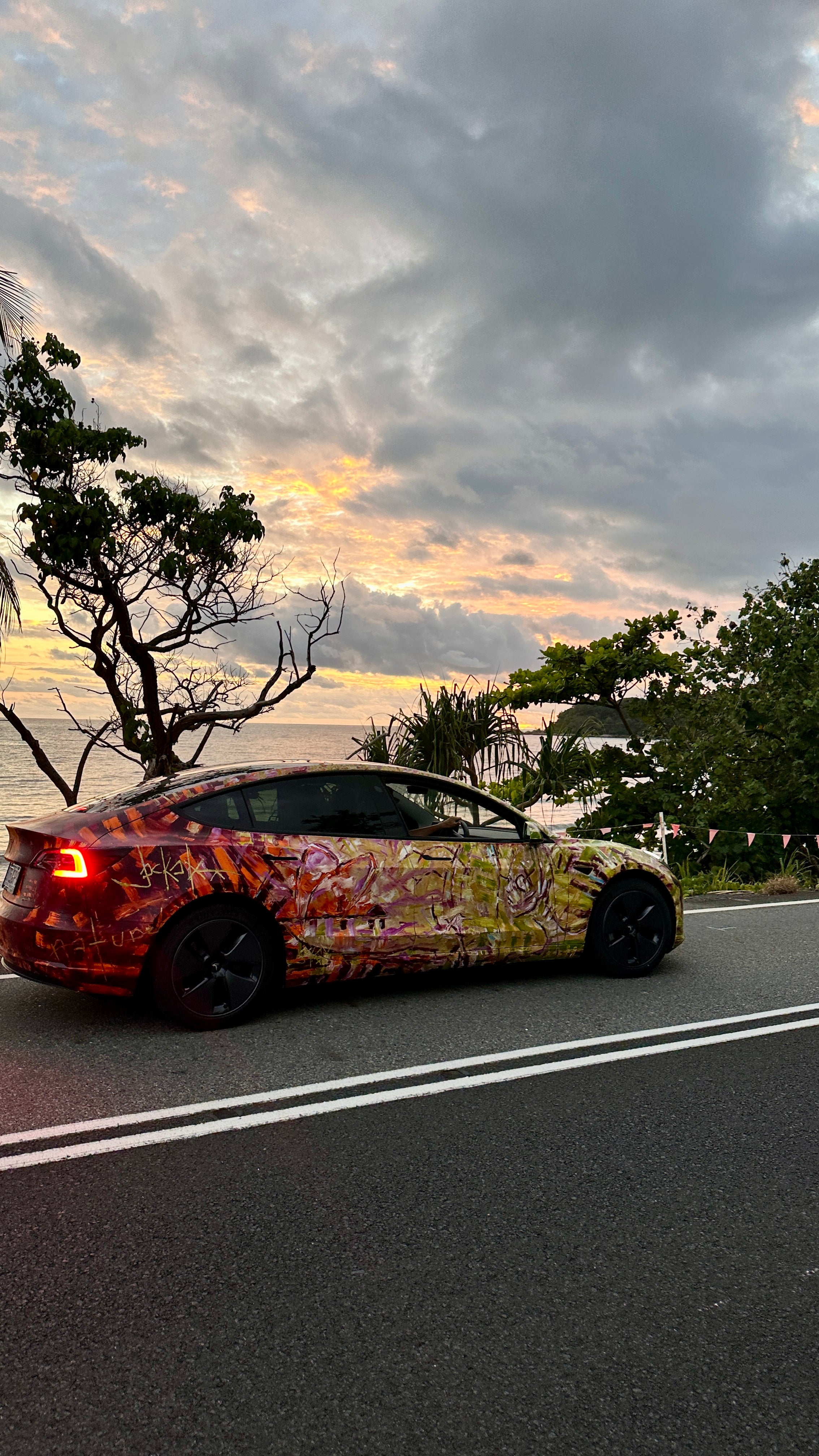 Hand painted artier by artist Jay Jackaldriving along the Tropical Nort Queensland Pebbly Beach