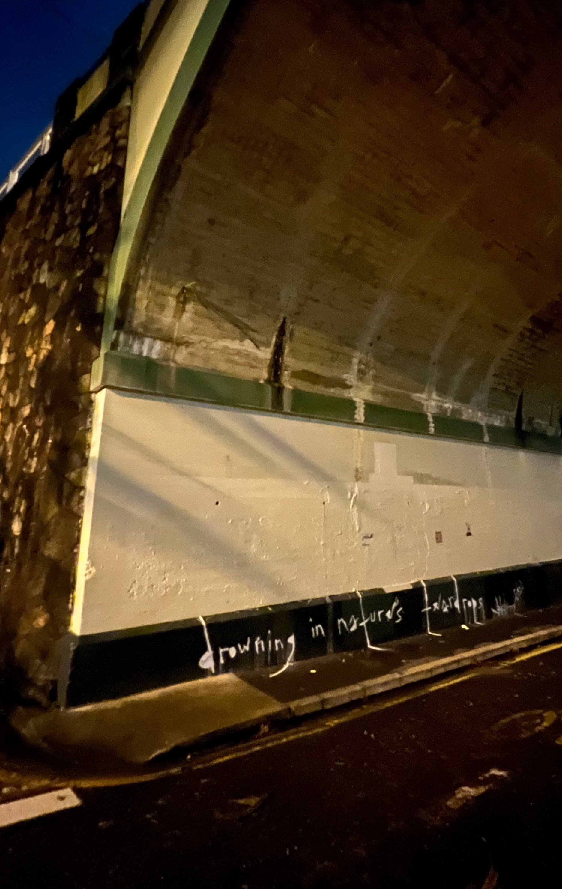 view or Drowning in Nature's teardrop slogan by jay jackal anonymous artist and retired street writer